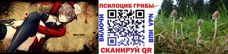 Галлюциногенные грибы Psilocybe  Камышин 