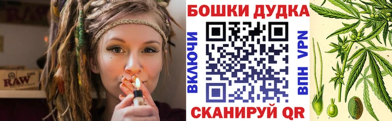 Бошки марихуана семена  площадка какой сайт  Камышин 